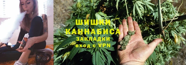 ГАЛЛЮЦИНОГЕННЫЕ ГРИБЫ Касимов