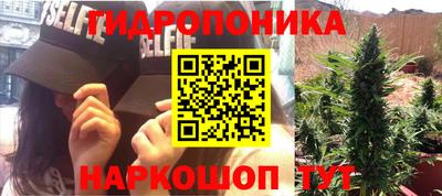 дживик Берёзовский