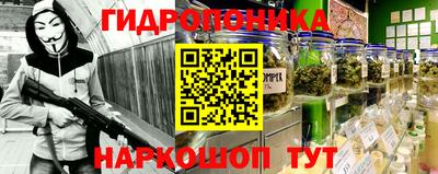 гидропоника Бийск