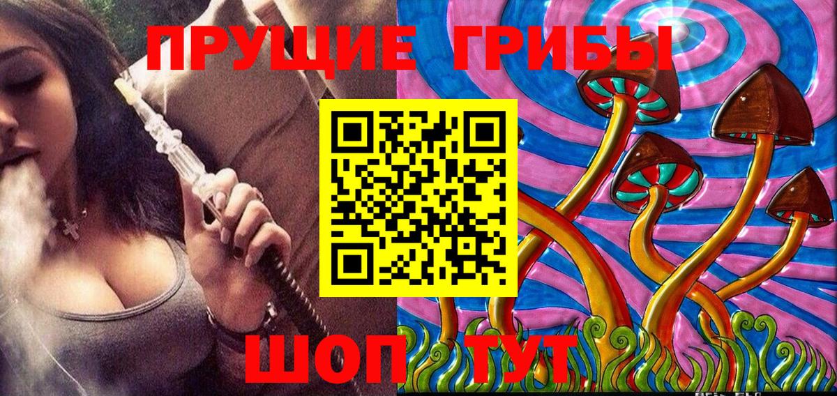 Псилоцибиновые грибы мицелий Липецк